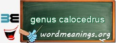 WordMeaning blackboard for genus calocedrus